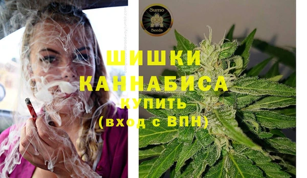 хмурый Аркадак