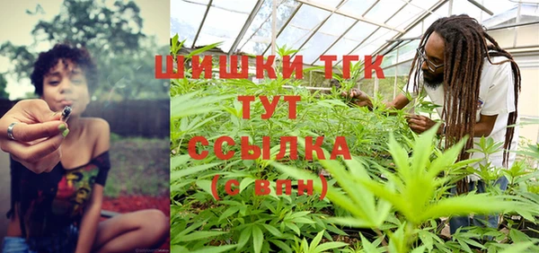 ПСИЛОЦИБИНОВЫЕ ГРИБЫ Арсеньев