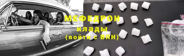 хмурый Аркадак
