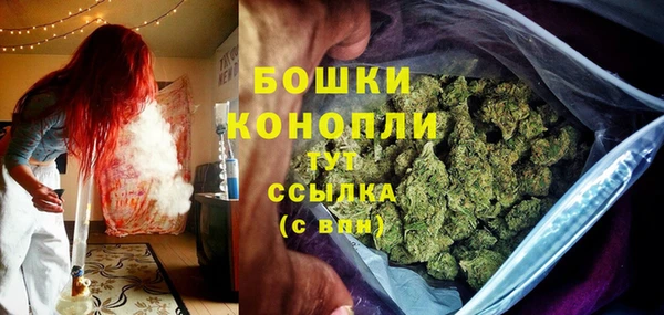 ПСИЛОЦИБИНОВЫЕ ГРИБЫ Арсеньев