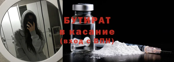 хмурый Аркадак