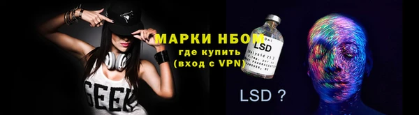 хмурый Аркадак