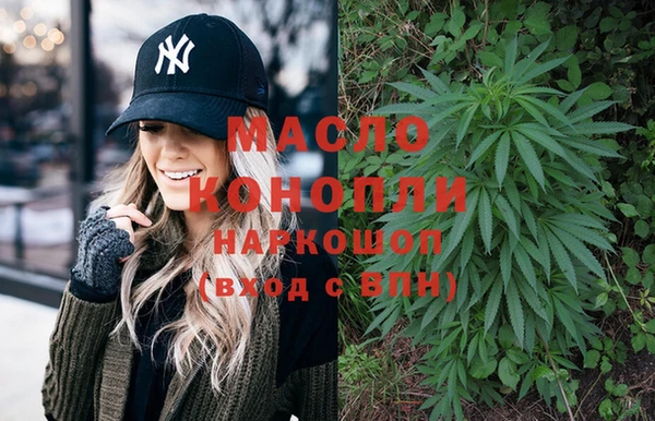 хмурый Аркадак