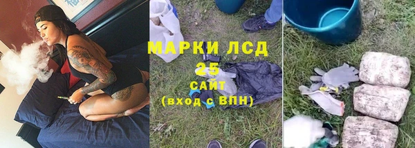 хмурый Аркадак