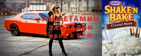 хмурый Аркадак