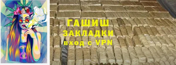 хмурый Аркадак