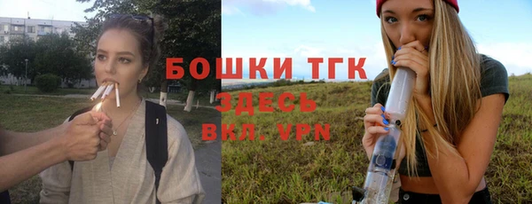хмурый Аркадак