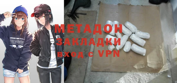 хмурый Аркадак